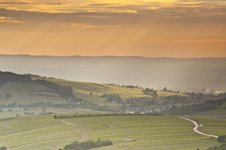 Claude Riffault Sancerre