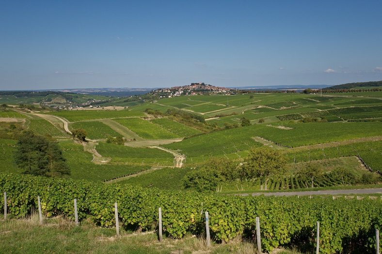 village de Sancerre Riffault