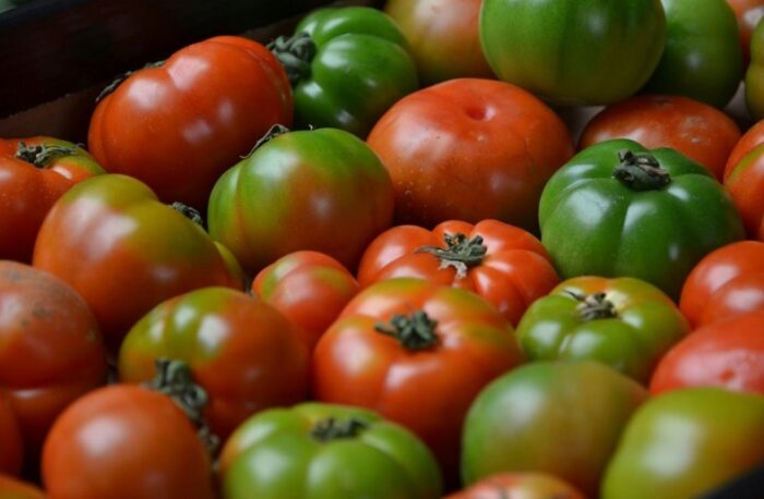 Accords mets & vins de printemps, 10 articles iDealwine à lire tomates