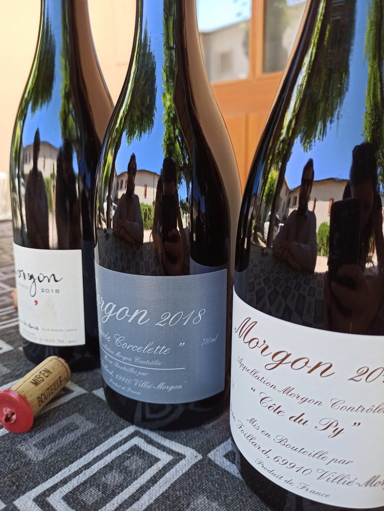 visite vigneron beaujolais jean foillard 3