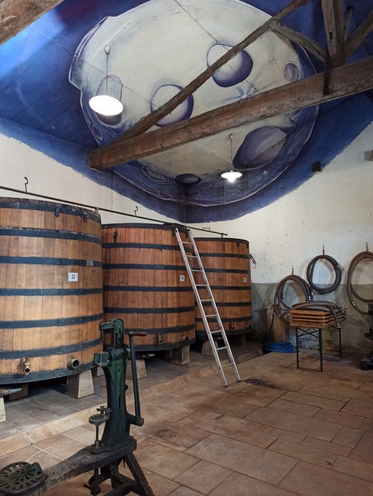 visite vigneron beaujolais marcel lapierre 3