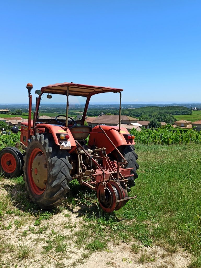 visite vigneronne beaujolais mee godard