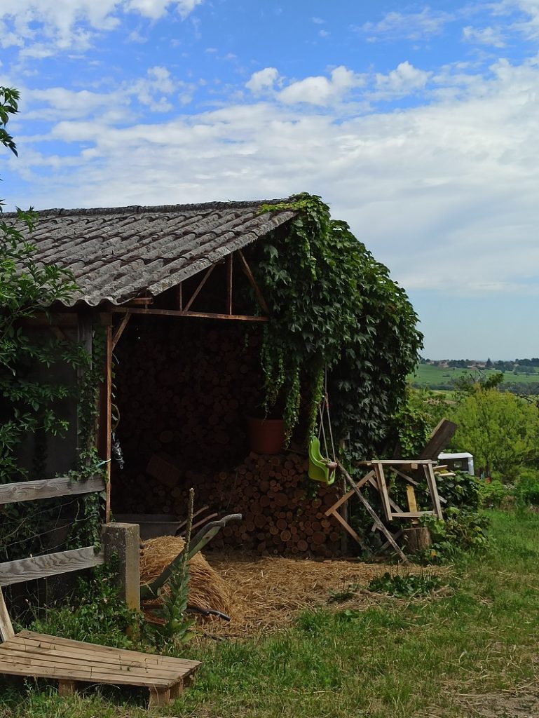 beaujolais thillardon 2