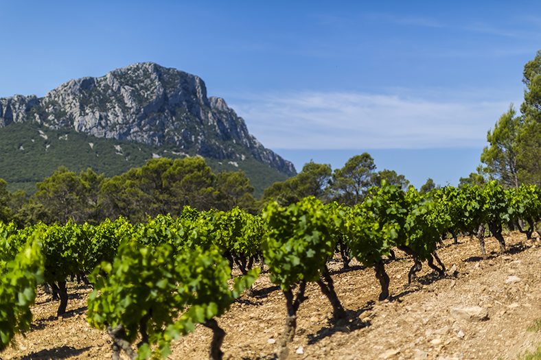 palmares-vins-les-plus-chers-languedoc-rousillon-1er-semestre-2020