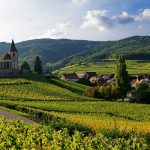 Alsace Grand Cru | Richesse, puissance et noblesse