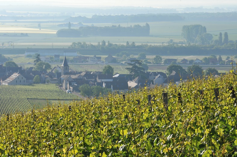 Domaine Vincent Mongeard Mugneret iDealwine vin 