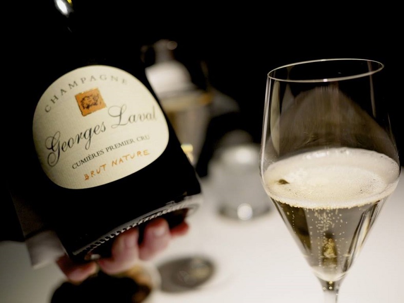 Brut nature champagne Georges Laval vin idealwine