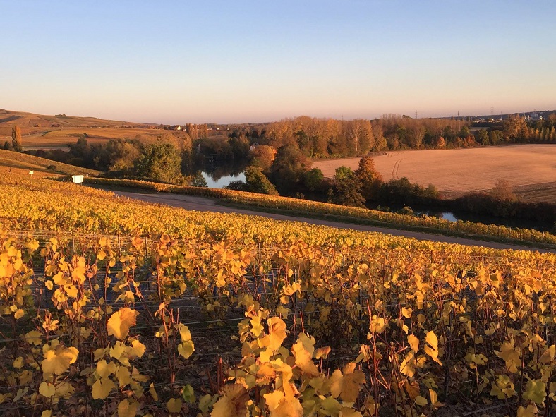 Champagne Georges Laval vin iDealwine