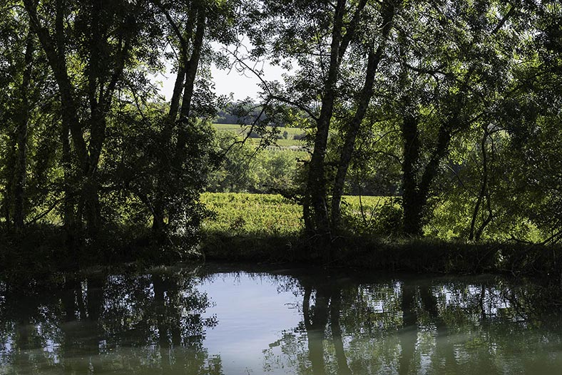 Chateau-le-puy-Etangs