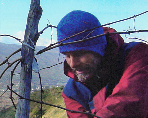 Lire la suite à propos de l’article Terroir, bio, biodynamie… Discussion avec Frank Cornelissen