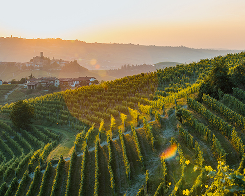 Lire la suite à propos de l’article Les différents styles du barolo