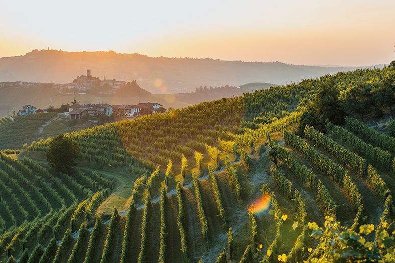 Différents styles de Barolo iDealwine vin