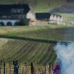Domaine La Pinte | Une renaissance jurassienne dans la continuité