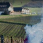 Domaine La Pinte | Une renaissance jurassienne dans la continuité