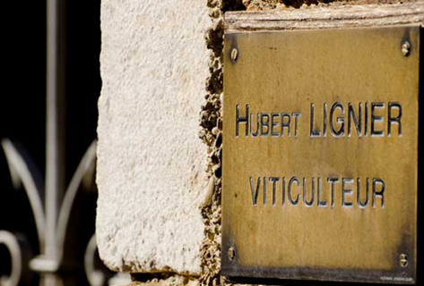 Hubert Lignier domaine