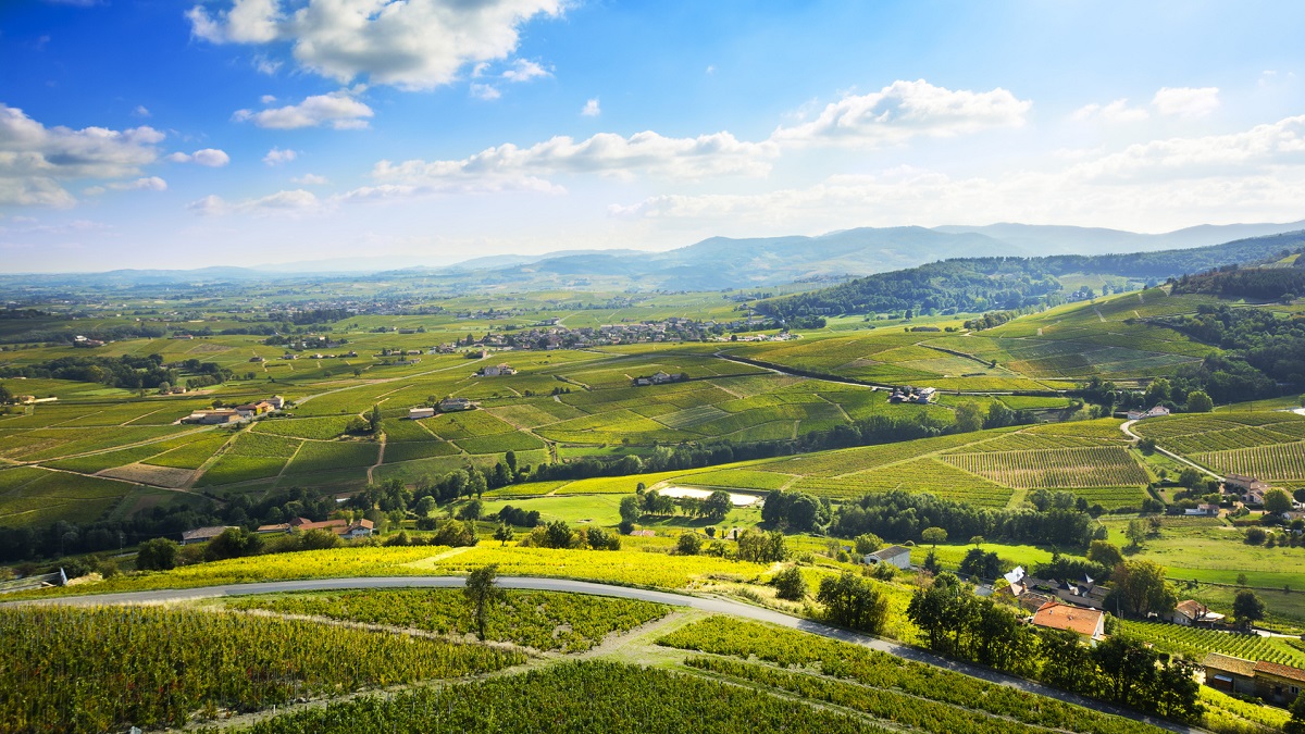 Lire la suite à propos de l’article Beaujolais : 10 crus, qui l’eût cru ?