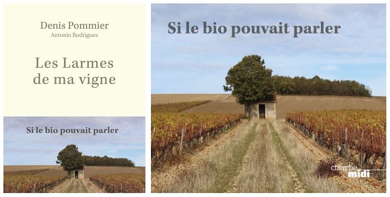 Les Larmes de ma vigne si le bio pouvait parler Denis Pommier Chablis vin