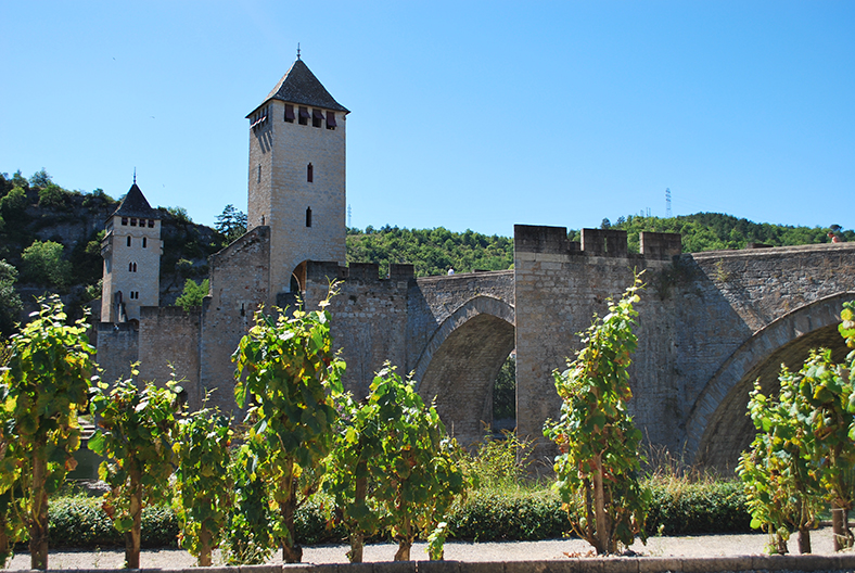 Millesime-2018-Bordeaux-SudOuest-Roussillon