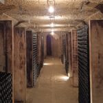 Secrets d’une transmission familiale au Clos Naudin avec Vincent Foreau
