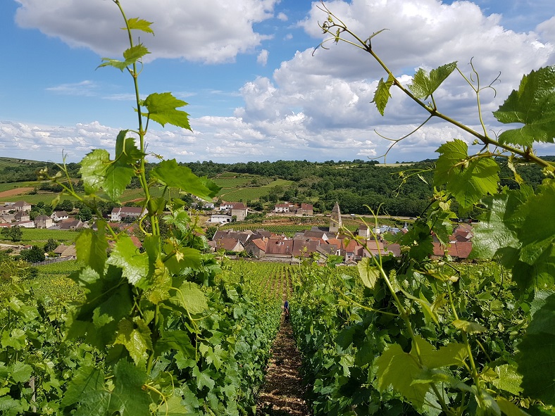 Hubert Lamy Saint-Aubin iDealwine