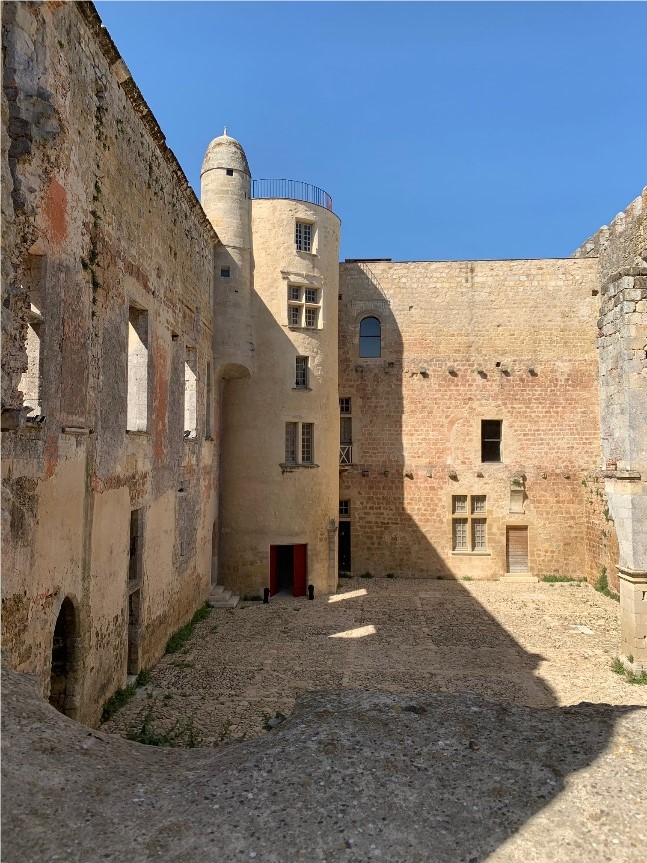 déjeuner au Château de Fargues  iDealwine  domaines ruines 1