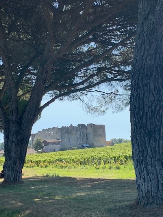 déjeuner au Château de Fargues  iDealwine  domaines ruines 1