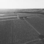 Anjou noir, nouvel eldorado au cœur de la vallée de la Loire