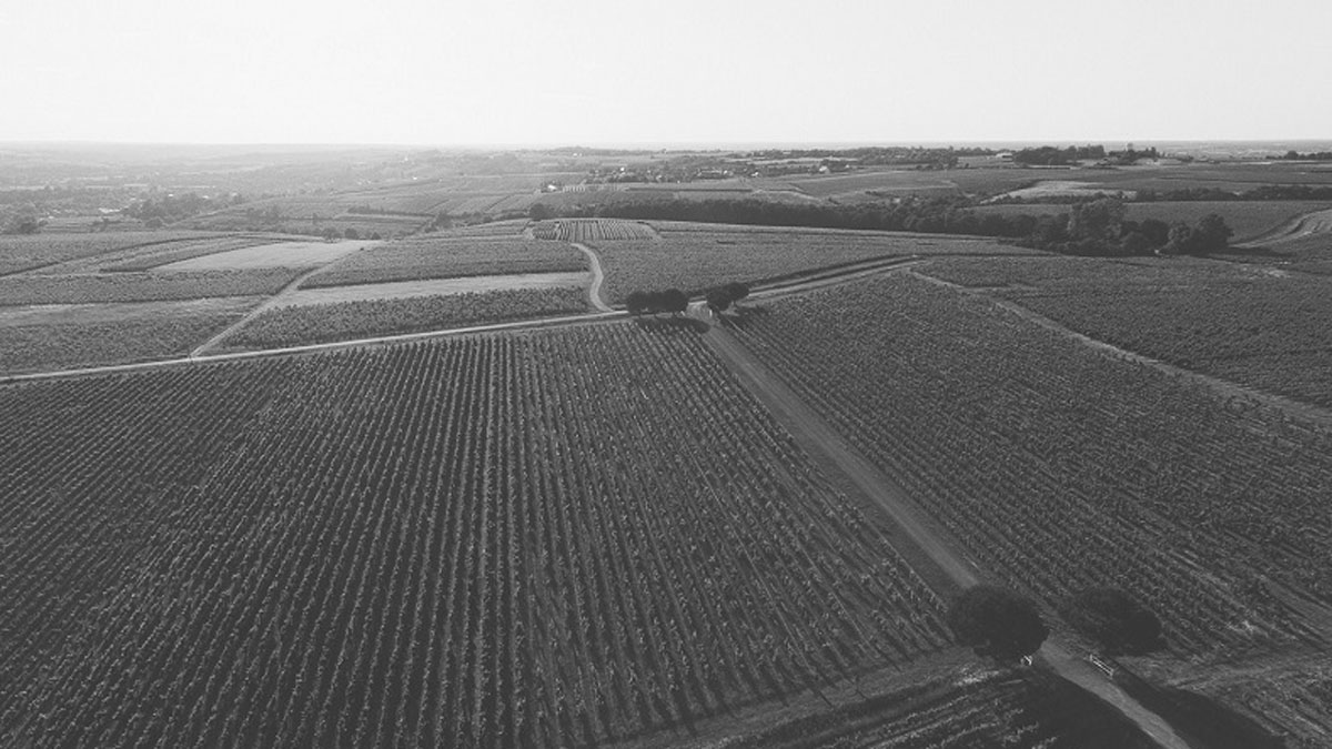 Lire la suite à propos de l’article Anjou noir, nouvel eldorado au cœur de la vallée de la Loire