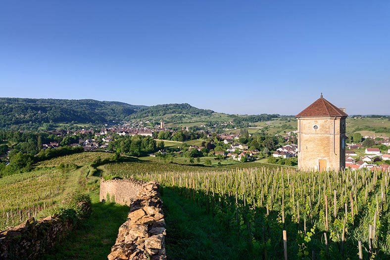 Domaine-Stephane-Tissot-Jura-vignes-2