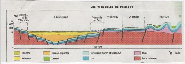 Geologie vignoble Jura 1