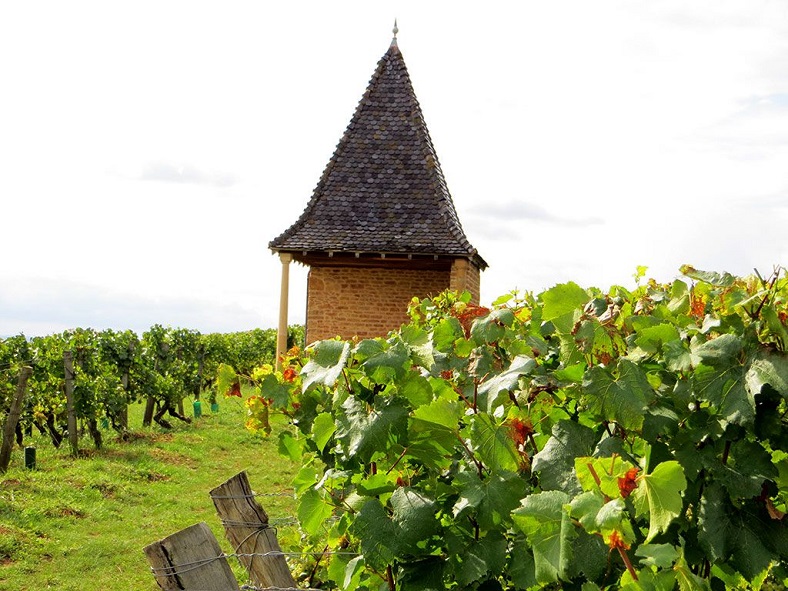 Bret Brothers – La Soufrandière vignes