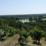 Clos de La Coulée de Serrant : « Un grand terroir n’a besoin d’aucun artifice »