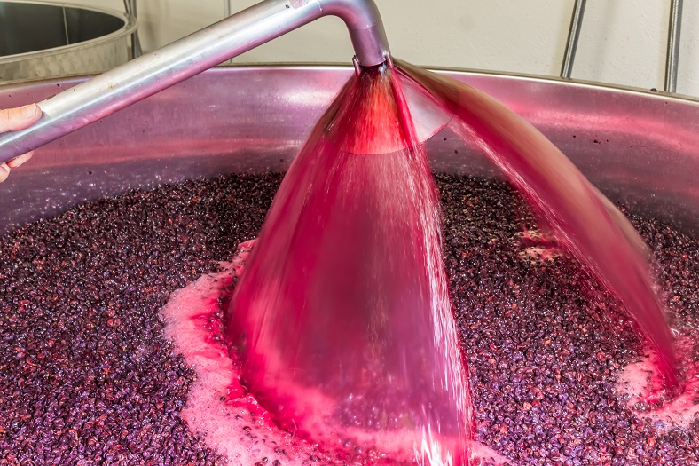 Macération vins rouges vinification