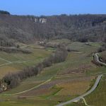 Les étoiles du vignoble jurassien – Partie 2 (La Touraize, Valentin Morel, Berthet-Bondet, Les Bottes Rouges)