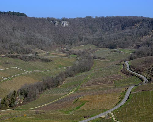 Lire la suite à propos de l’article Les étoiles du vignoble jurassien – Partie 2 (La Touraize, Valentin Morel, Berthet-Bondet, Les Bottes Rouges)