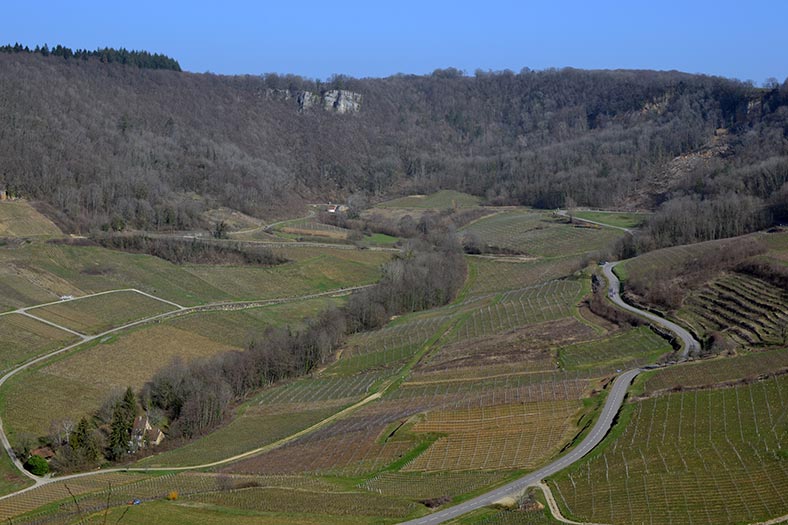 iDealwine-Jura-Ch-Chalon iDealwine Jura Chateau Chalon