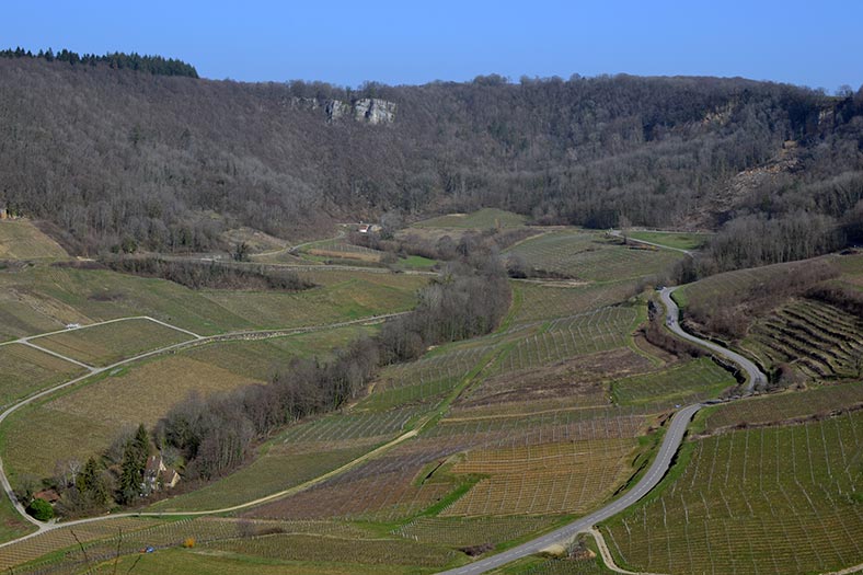 iDealwine Jura Chateau Chalon