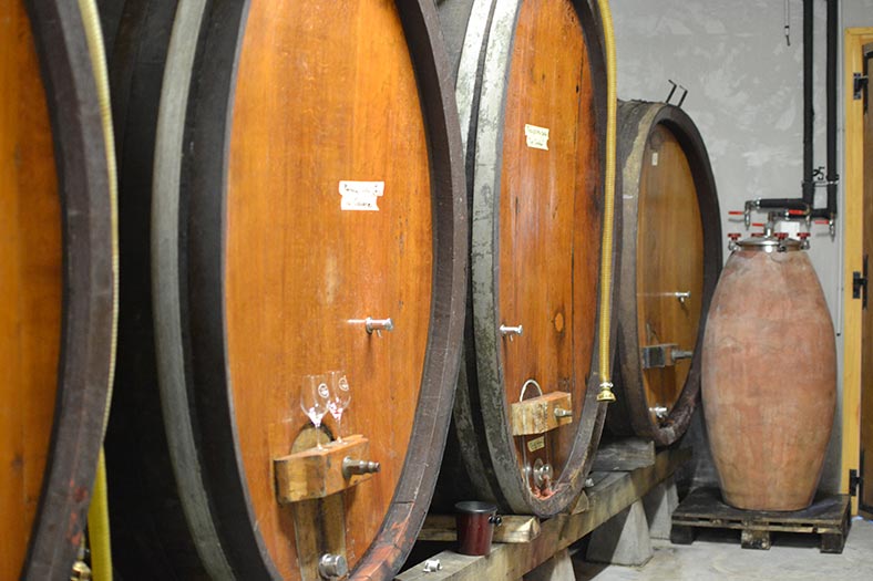 Domaine de la Touraize Jura vins iDealwine vinification