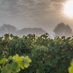 La Porte Saint-Jean, l’un des secrets les mieux gardés de la Loire…