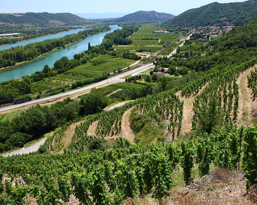 Lire la suite à propos de l’article Les petites appellations de la vallée du Rhône