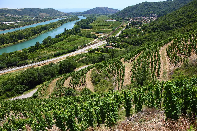 petites appellations de la vallée du Rhone iDealwine