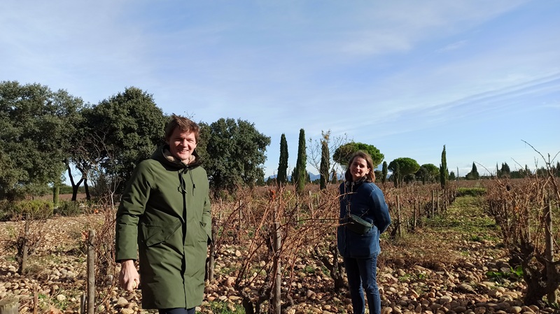 beaucastel chateau visite