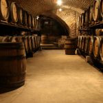Domaine Berthet-Bondet : la grande tradition du Jura