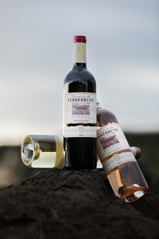 Vin Bandol domaine de Terrebrune
