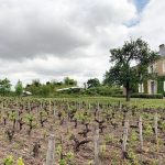 Bordeaux 2020 | Château Haut-Bailly : « Dessine-moi un chai… »