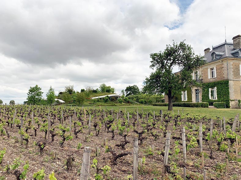 Chai-chateau-Haut-Bailly