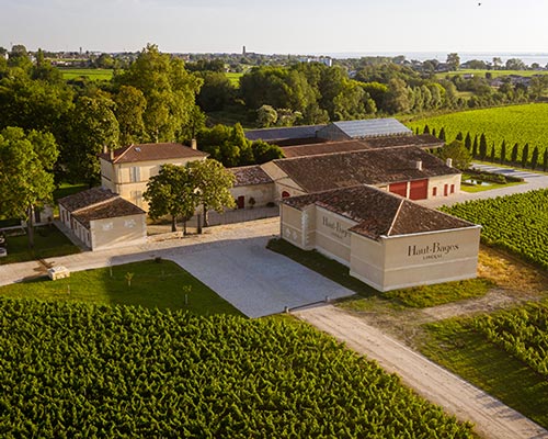 Lire la suite à propos de l’article Le château Haut-Bages Libéral : biodynamie et agroforesterie dans un cru classé 1855