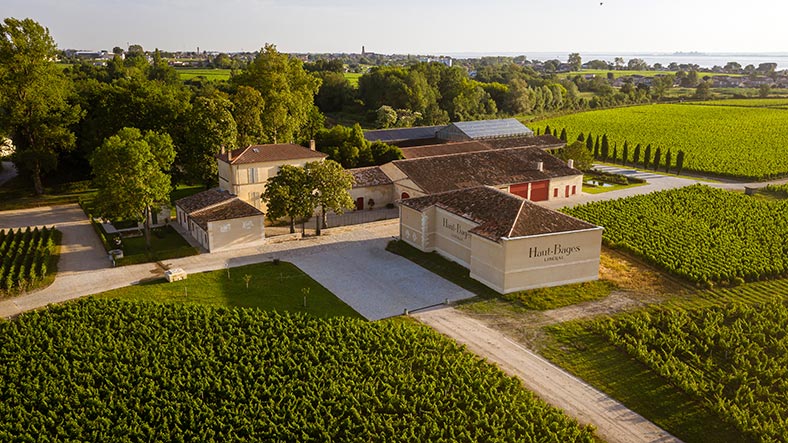 Chateau-Haut-Bages-Liberal iDealwine