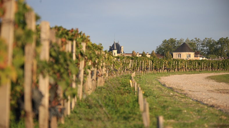 Durfort-Vivens iDealwine - Chateau vue vignes