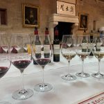 Primeurs 2021 : les impressions d’iDealwine sur le millésime 2020